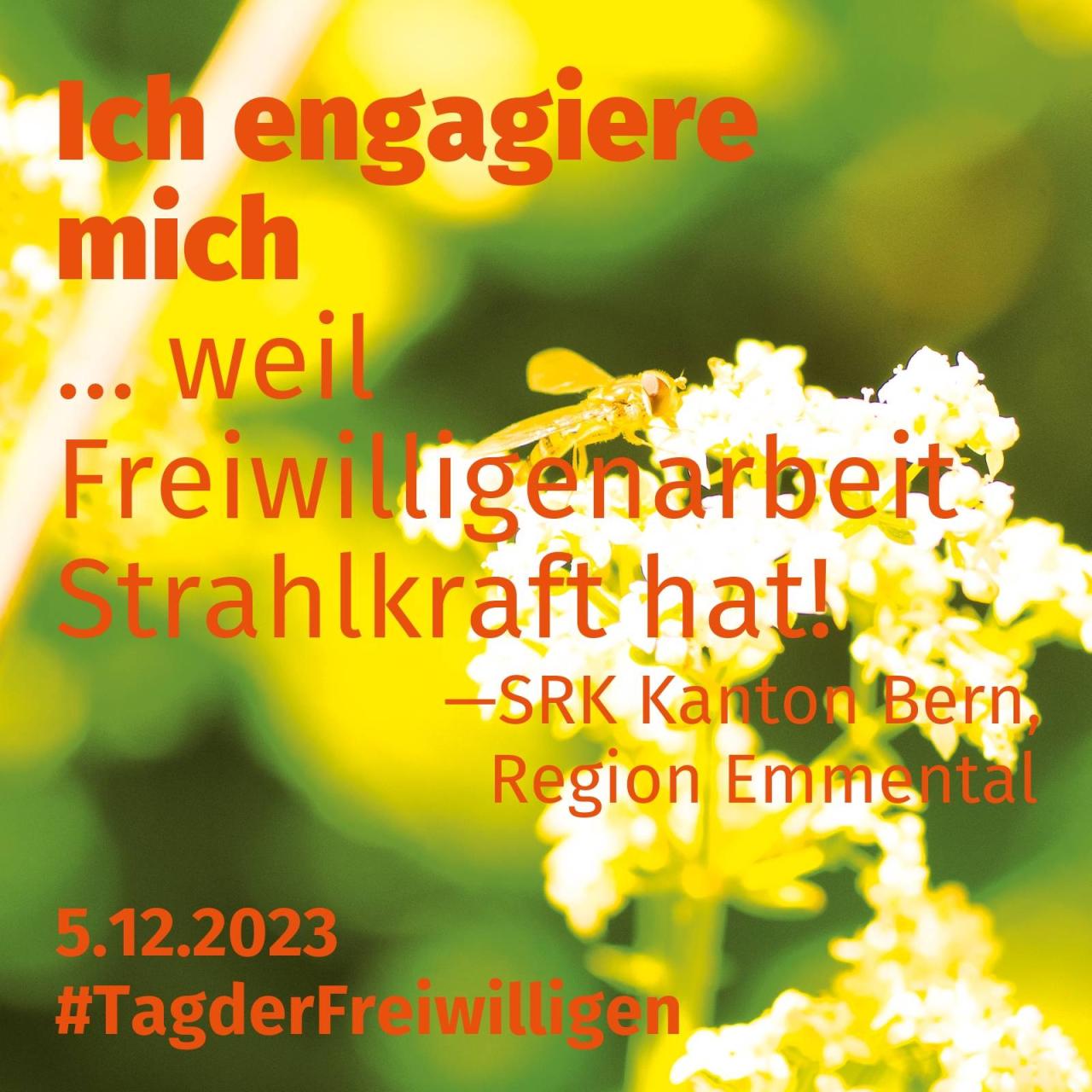 Bild-Text: Ich engagiere mich weil Freiwilligenarbeit Strahlkraft hat!
